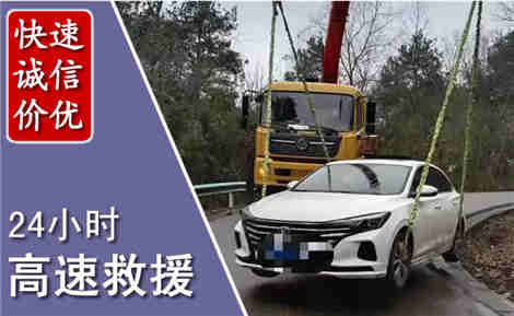 罗城高速公路救援场景与案例